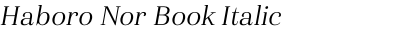 Haboro Nor Book Italic